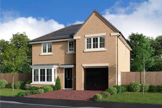 Thumbnail Detached house for sale in "The Kirkwood" at Mulberry Rise, Hartlepool