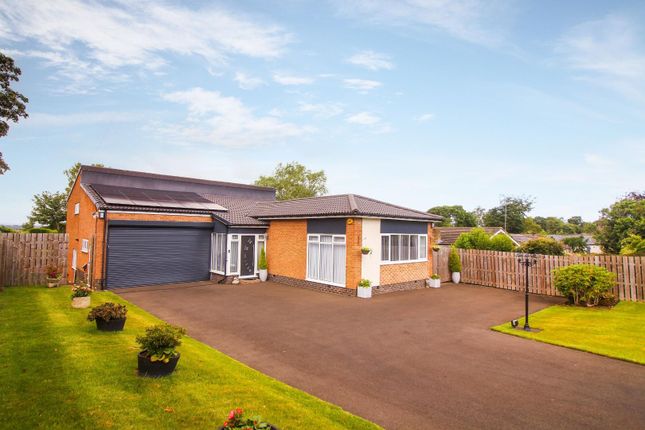 Thumbnail Detached house for sale in Edge Hill, Ponteland, Newcastle Upon Tyne