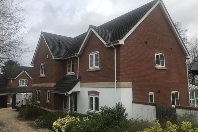 Thumbnail Detached house to rent in Hereford, Herefordshire