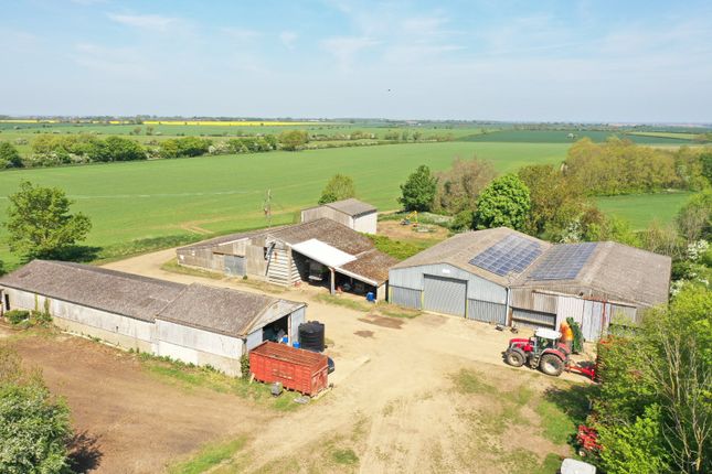 Farmyard