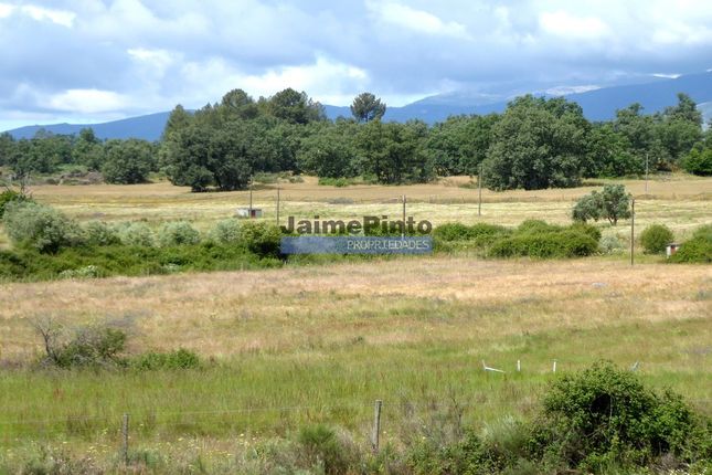 Thumbnail Farm for sale in 80.1Ha Of Agricultural Land, Belmonte E Colmeal Da Torre, Belmonte, Castelo Branco, Central Portugal