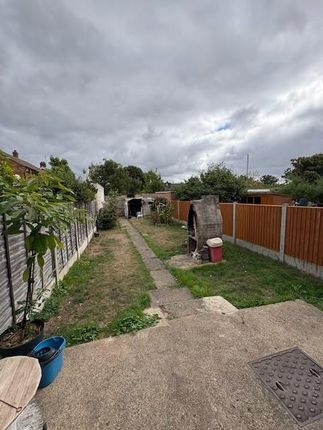 Garden.Jpg