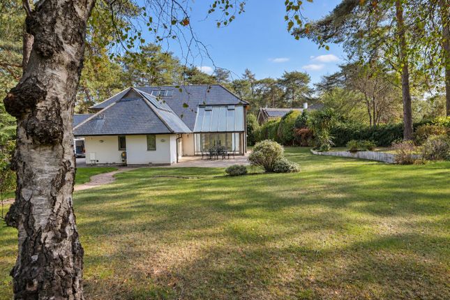 2, Egmont Drive, Ringwood photo 4