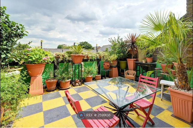 Terrace (Door View)
