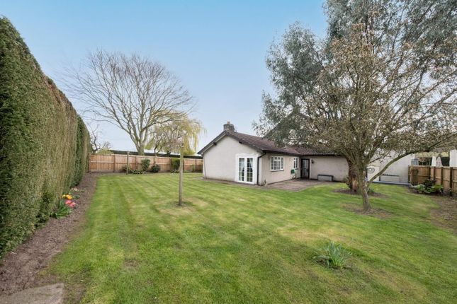 Thumbnail Semi-detached bungalow to rent in Mill Lane, Little Budworth, Tarporley