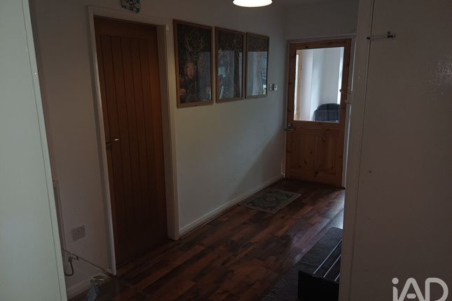 Daron, Llwyn Gibwst, Denbigh photo 4