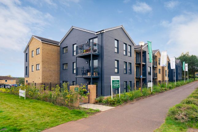 Thumbnail Flat to rent in Milton Keynes