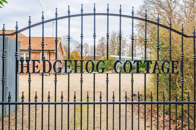 Detached bungalow for sale in Elsing Road, Lyng, Norwich