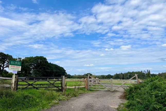 Land for sale in Kings Lane, Coldwaltham, Pulborough