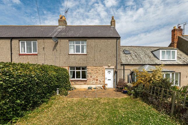 Thumbnail Terraced house for sale in The Village, Fenwick, Berwick-Upon-Tweed, Northumberland