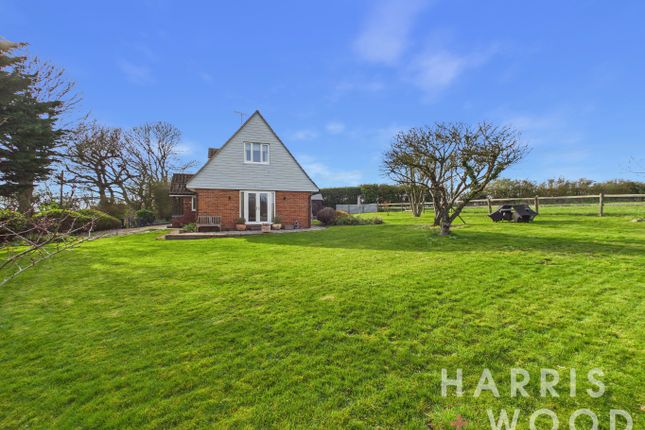 Orchard House, Bromans Lane, Colchester photo 4