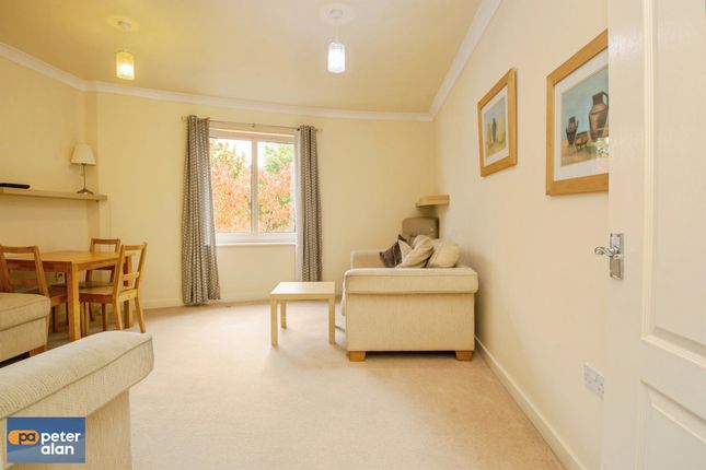 Carlotta Way, Cardiff photo 3
