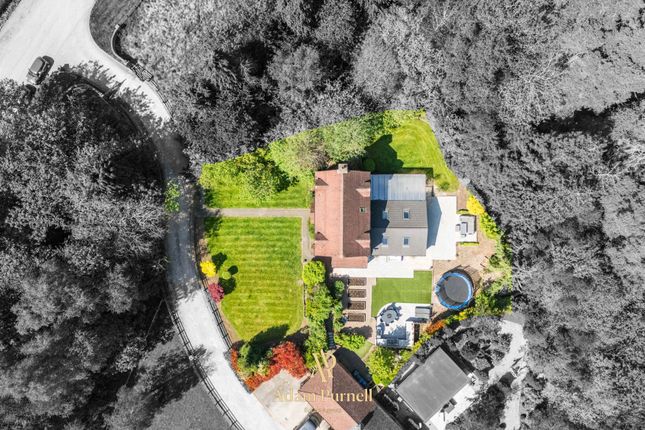 1 Stretton Croft Wolvey Road, Hinckley photo 4