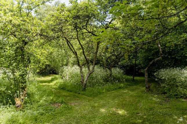 Burghfield-3.Jpg