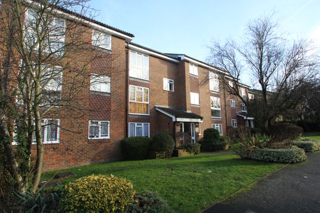 15, Croydon photo 4