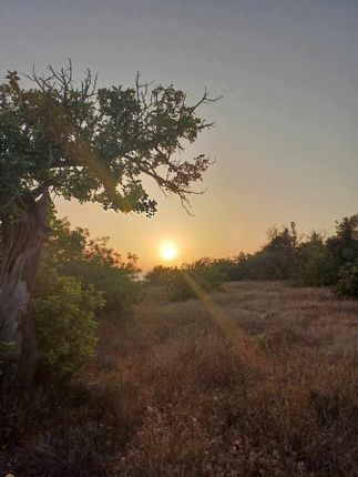 Thumbnail Land for sale in Koili, Pafos, Cyprus