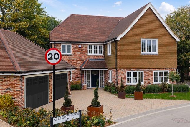 The Lawrence, Number 156