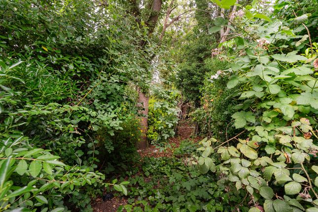 32, Braemar Avenue, London photo 4