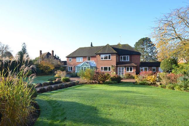 Thumbnail Detached house to rent in Cranleigh Road, Wonersh, Guildford