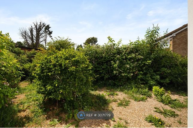 Goodwood Avenue, Watford photo 3