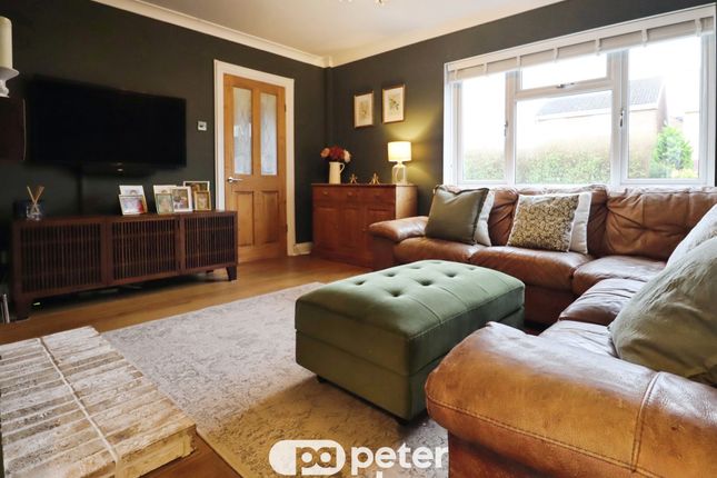 4, Manod Road, Cardiff photo 3