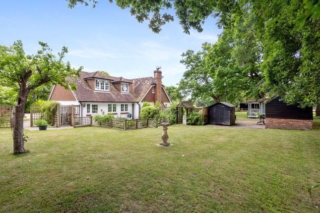 Guildenhurst Bungalow Lordings Road, Billingshurst photo 3