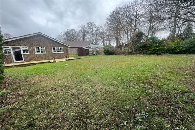 Detached bungalow to rent in Fair Lawn Close, Rownhams