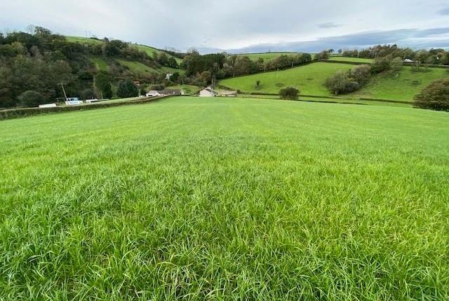 Land for sale in Pentremeurig Road, Carmarthen