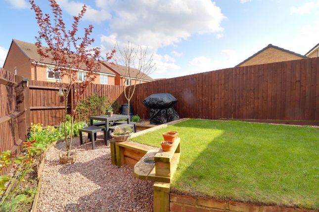 Semi-detached house to rent in Paterson Drive, Marston Grange, Stafford