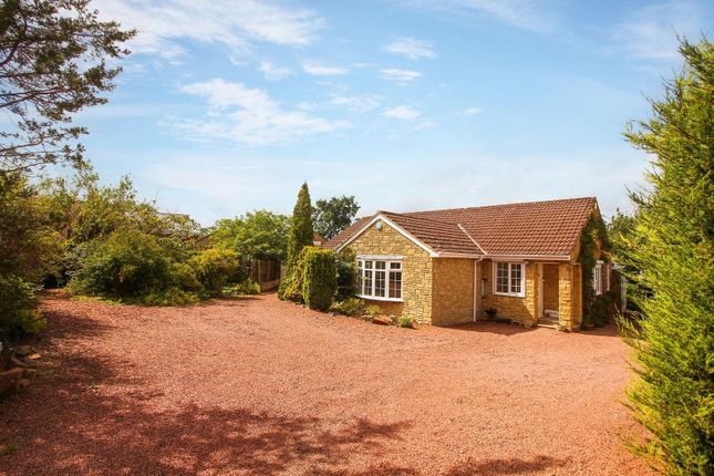 Thumbnail Bungalow for sale in Tower Side, Whittingham, Alnwick