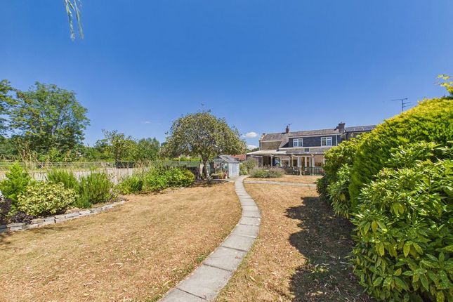 Archway Cottage, Shute Lane, Long Sutton photo 4