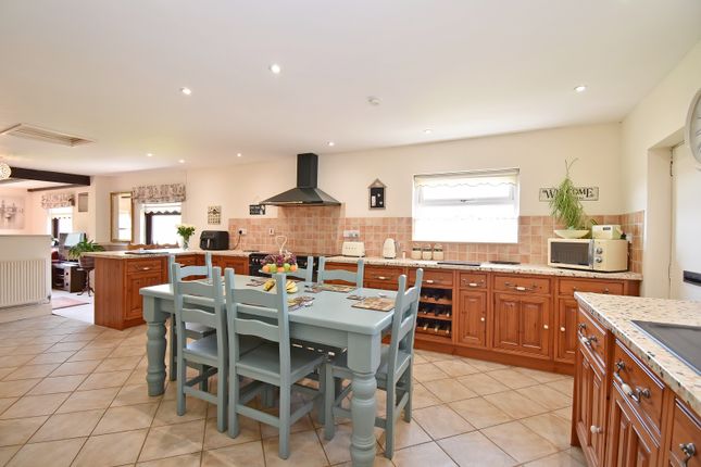 Kitchen - Dining - Living Room