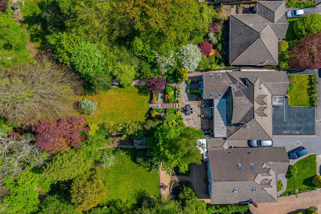 Cyncoed Rise 8 Drone-4.Jpg