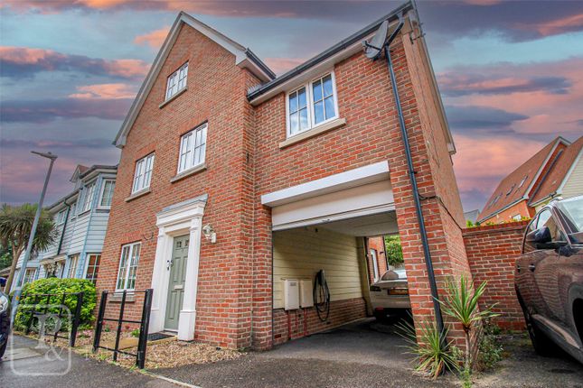 Thumbnail Detached house to rent in Cambie Crescent, Colchester, Essex