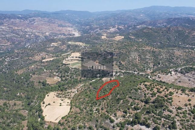 Land for sale in Paphos, Cyprus