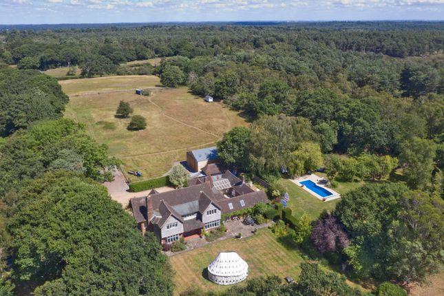 Homes For Sale In New Forest Buy Property In New Forest