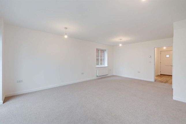 8636248-Interior03-800.Jpg