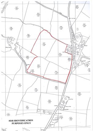 Land for sale in Lot 1, Llanllwni, Carmarthenshire, 9Sg