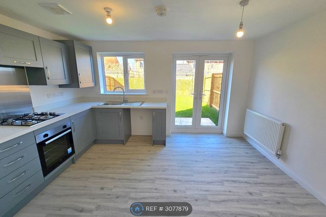 Harrier Drive Langold, Worksop photo 3