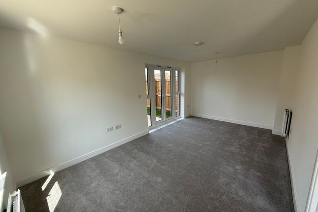 Crewe photo 3