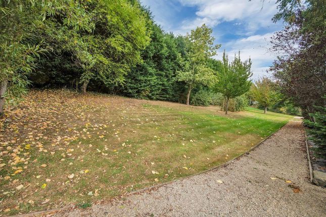 Lawned Garden &amp; Orchard