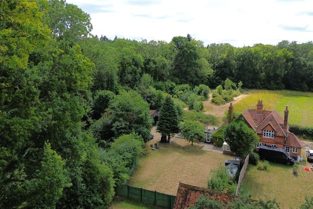 Garden &amp; View