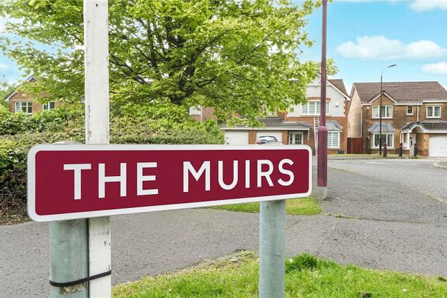 11, The Muirs, Alloa photo 2