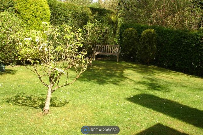 Detached house to rent in Forty Green, Beaconsfield