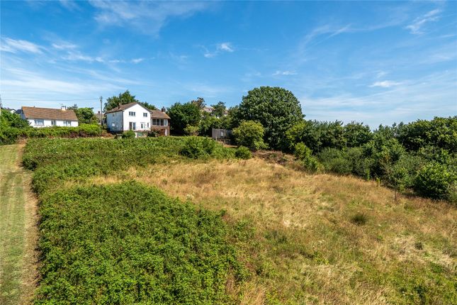 The Old Meadow Southside, Coldridge Crediton Devon, Devon photo 2