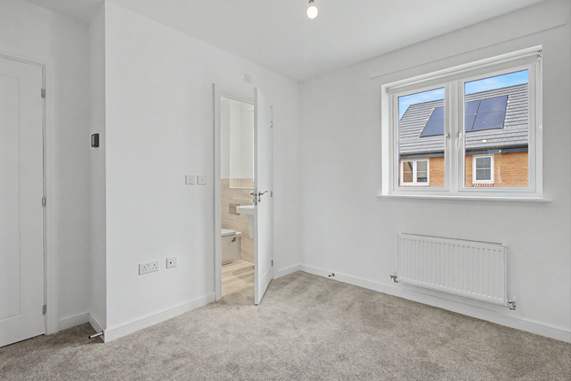 20, Herne Bay photo 4