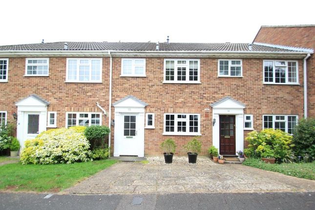 Thumbnail Terraced house to rent in Mount Hermon Road, Woking, Surrey