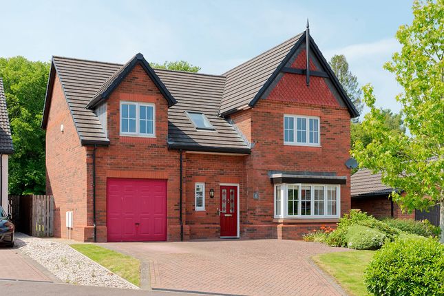 Thumbnail Detached house for sale in Chisholm Drive, Dumfries, Dumfries And Galloway