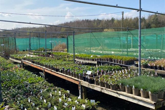 Thumbnail Retail premises for sale in Plant Nursery And Retail Shop NG4, Gedling, Nottinghamshire