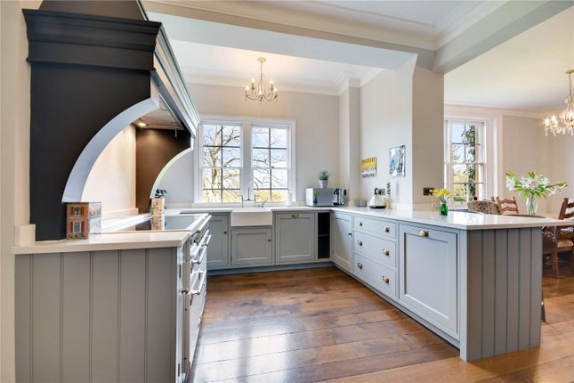 Apartment Kitchen